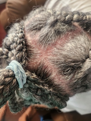 hair9.jpg